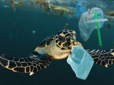 The Ocean Cleanup gekozen als goed doel