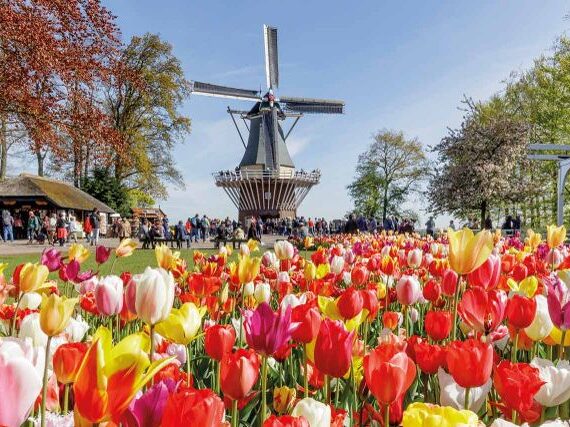 Met korting naar de Keukenhof