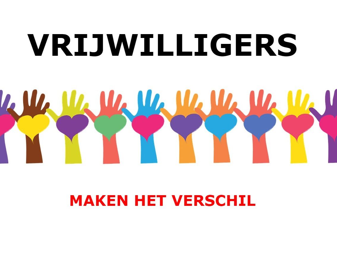 Verkiezingen Europees Parlement, 6 juni 2024, vrijwilligers
